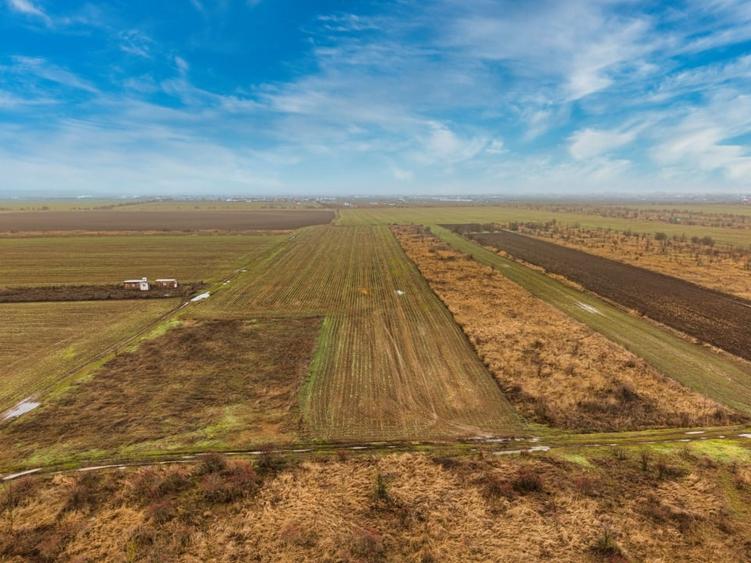 Teren intravilan 5040 mp, deschidere dubla - 3