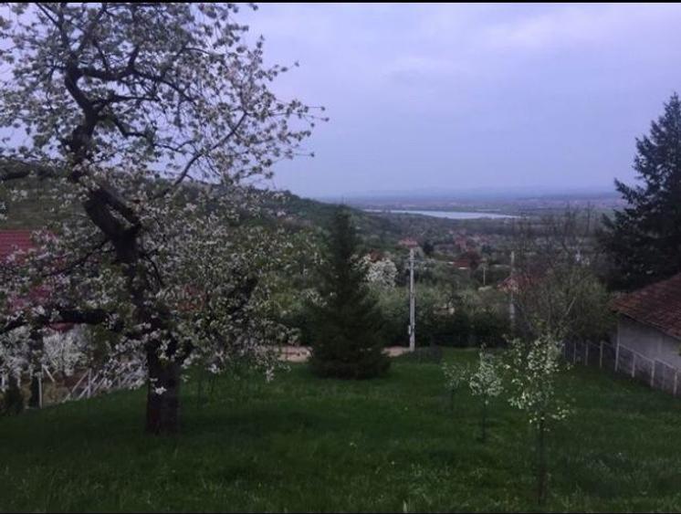 Teren intravilan Podgoria Oradea cu panorama / priveliste / view - 1