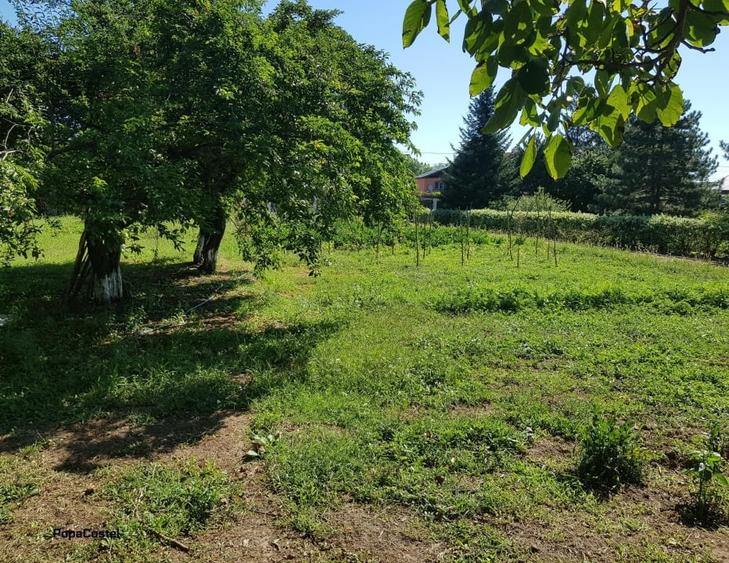 Petresti - Corbeanca 4648 mp intravilan desch. 33 m, utilitati, acces asfaltat - 14