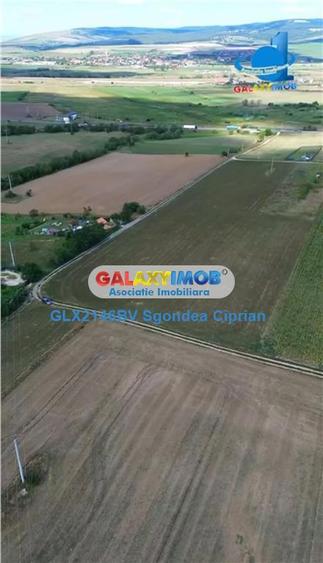 Teren De Vanzare Feldioara Utilitati In Apropiere - 3
