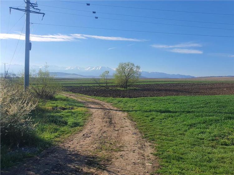 Teren extravilan 4.500- max.18.300mp in comuna Rosia (17 km de Sibiu) - 7