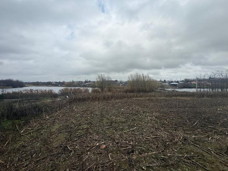 Teren 2.000 Mp | Ileana - Calarasi | Dubla Deschidere Stradala - 4