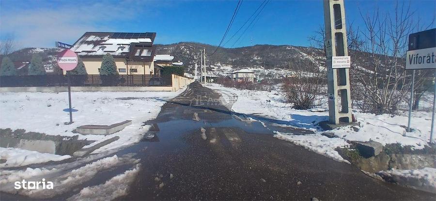 Teren intravilan 6345mp de vanzare Viforata - 3