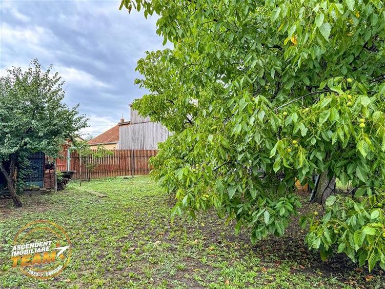 FILM&3D! Casa ospitaliera,curte si gradina asortata,arie linistita,Simeria,Sfant - 6