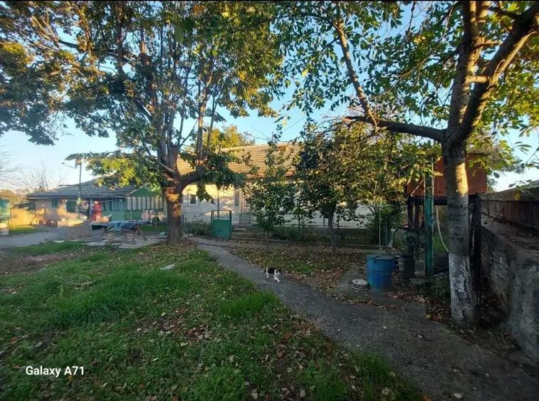 Casa de vanzare plus teren loc. Satu Nou, Judetul Tulcea - 2