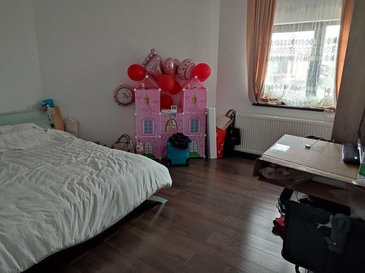 Sanandrei, Spurafete generoase, drum asflatat - 13