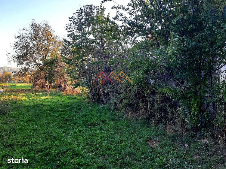 Teren Intravilan, central, perfect plat, 1212 m2, 38 euro m2 - 3