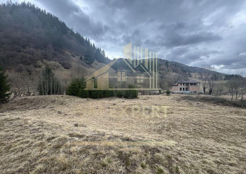 TEREN INTRAVILAN 500 MP SATIC- RUCAR - 4