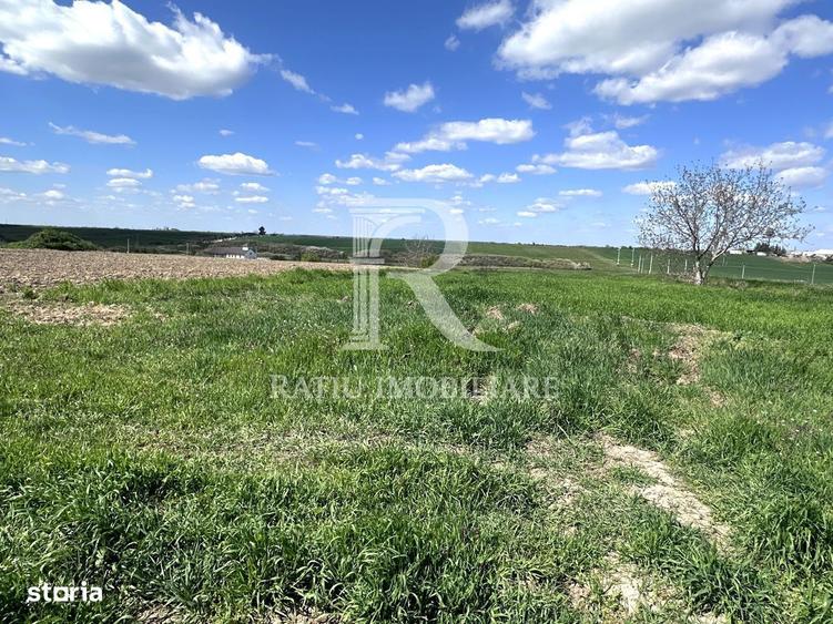 Teren intravilan | Les | Bihor - 1