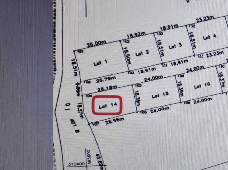 Teren 488mp Vidra Soseaua Principala dintre Berceni si Dobreni 90 euro - 3