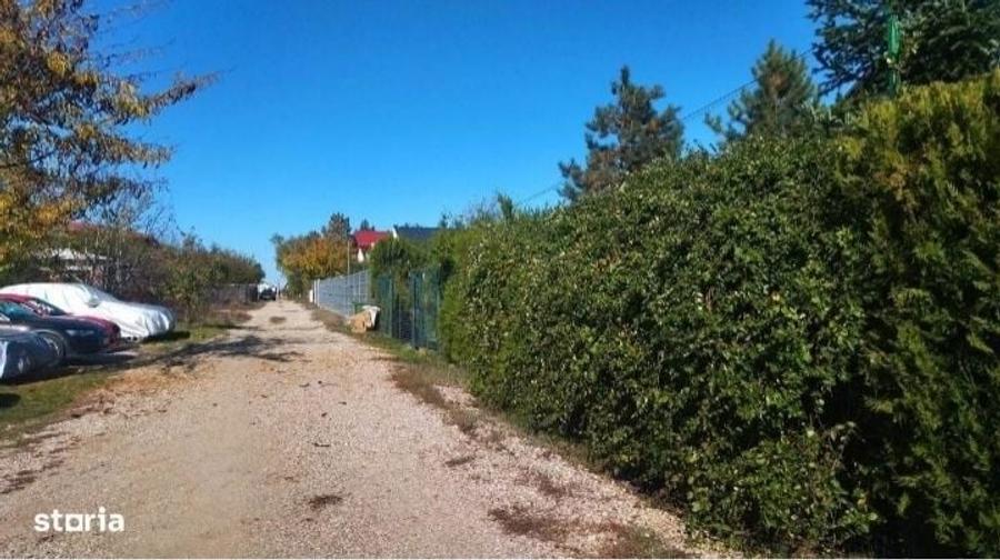 Teren Ciolpani Piscu langa Lac Scrovistea Zona Snagov - 1