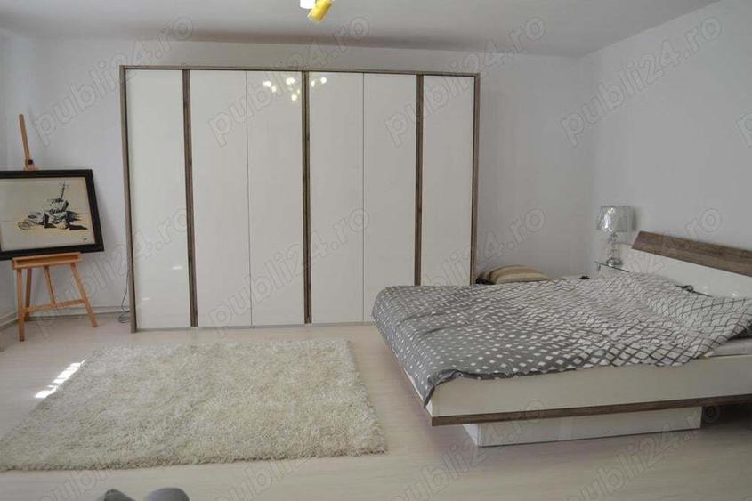 Casa Peciu Nou renovata 270 mp utili,4330 mp teren front 25 ml - 8