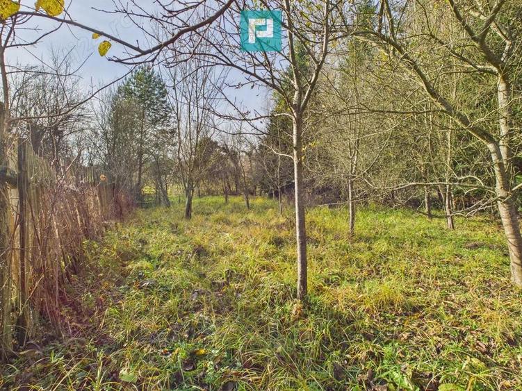 Vand casa D+P+E in Rosia Noua (com. Petris) - 4