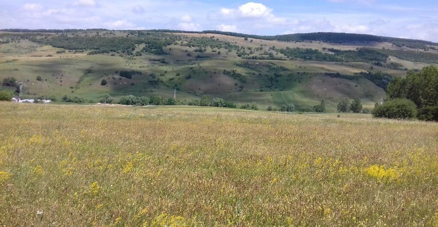 Vand teren intre Popesti si Corusu(jud. Cluj),in apropierea padurii - 6