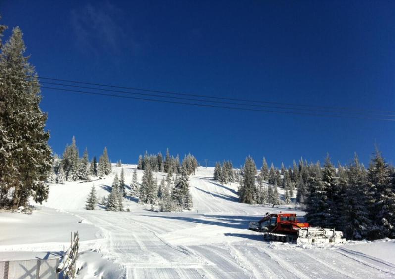 Teren intravilan, 400 mp, Muntele Baisorii, 2.8 km de Buscat - 1