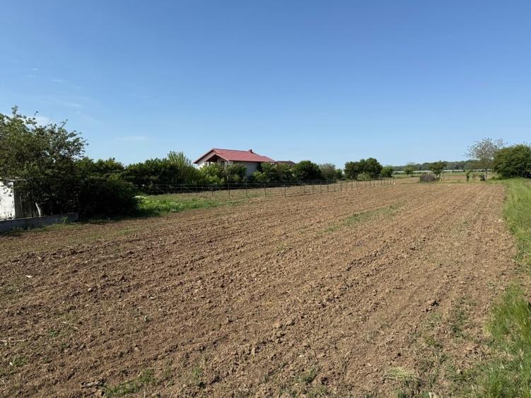 De vanzare 2 loturi de teren de 500mp in Ciorogarla, Str. Cartonari - 4