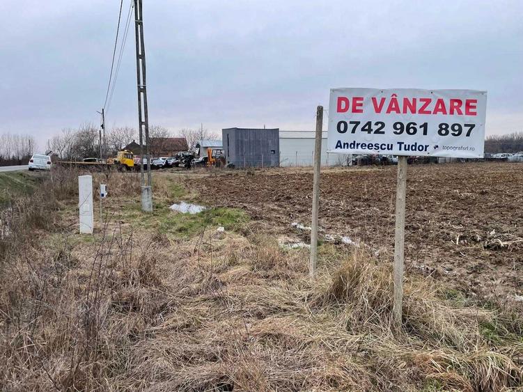 3.65 hectare teren partial intravilan Ciuperceni de vanzare, front 100 m la asfalt, ceas curent trifazic, construibil, plat - 1