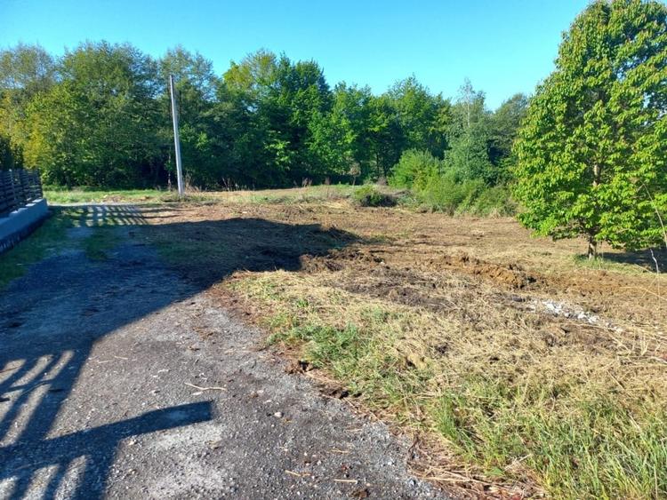 Teren autorizat Faget / Zona Vila Tusa / PUZ Aprobat - 1