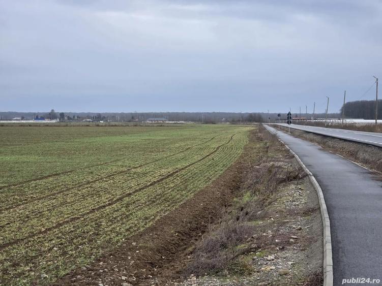 Teren 15000 mp intr. in Scrovistea langa Snagov - 5