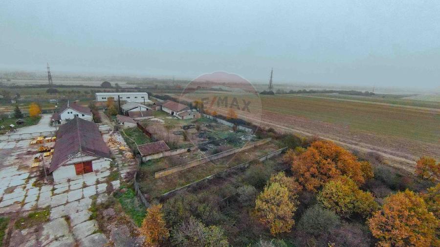 Teren 5674mp si constructii de vanzare, Tilecus - 3