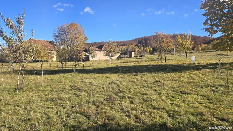 Vand casa in Dami? - 1