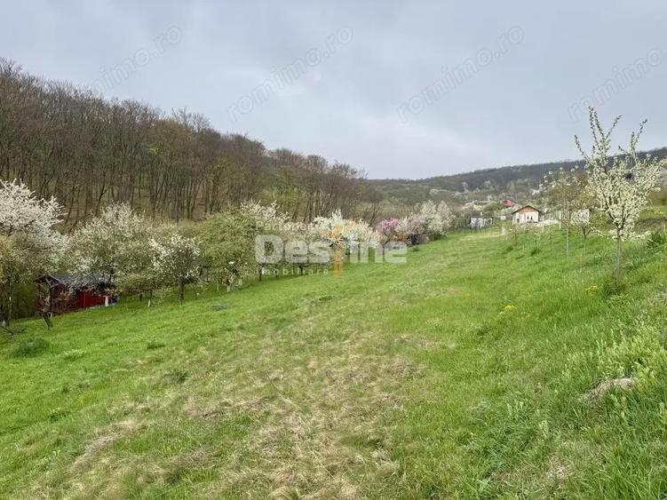 Teren intravilan Deva- Roci - 4