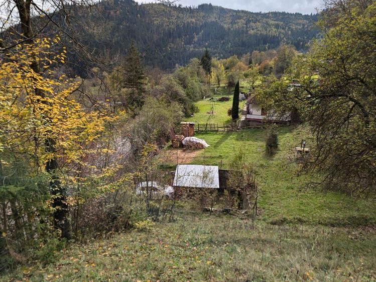 Teren vanzare negociabil - 9