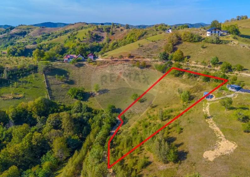 Teren extravilan 6,014mp | Holbav | BRASOV | COMISION 0| - 8
