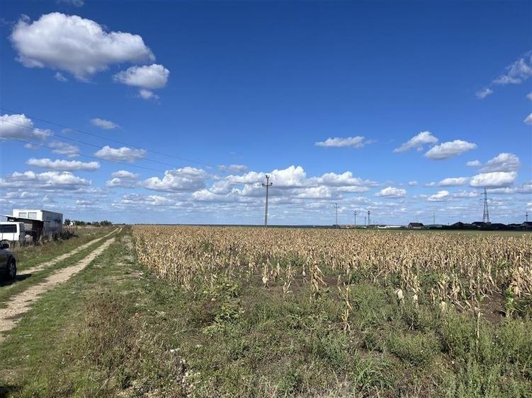 RECO Teren intravilan 1200mp -Livada de Bihor - 3