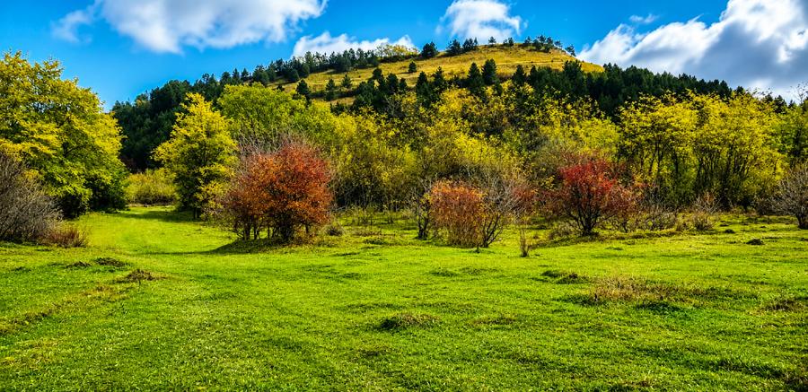 1.6 ha cu acces direct din DN | Rau pe proprietate | Drumul spre Belis-Fantanele - 7
