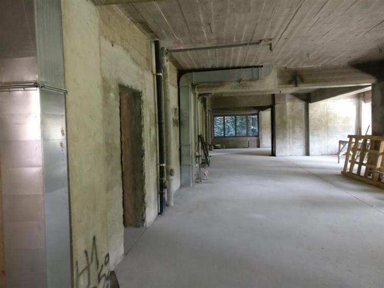 Vanzare cladire pretabil birouri - Zona Timpuri Noi - 5