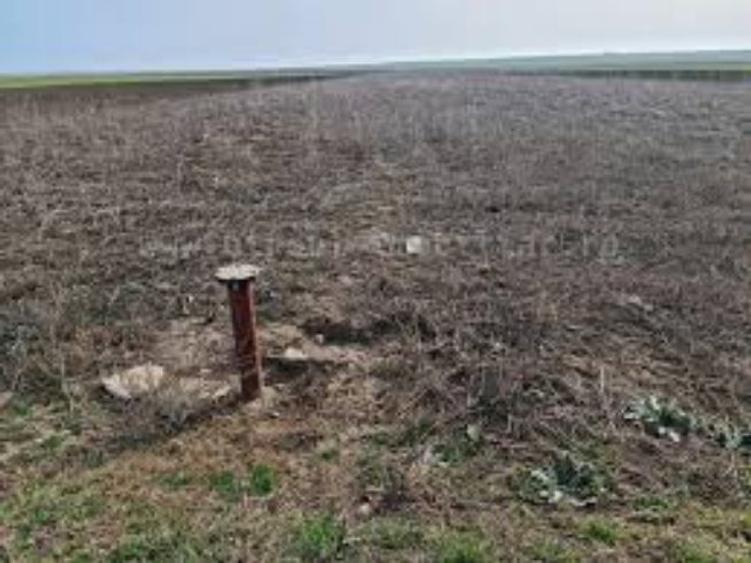 4,2 ha terenuri agricole la Dobrotesti judetul Dolj - 1