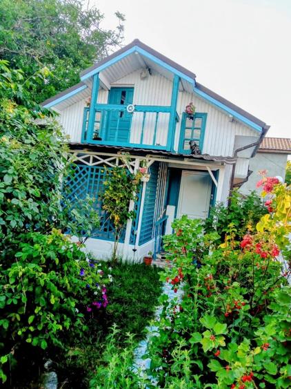 VANZARE CASA MOGOSOAIA STR.8 MARTIE - 1