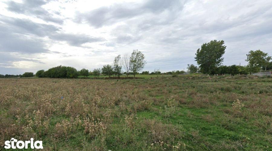 Teren intravilan - 4.000 mp, Loc. Roseti - 2