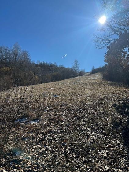 Teren de vanzare - 6