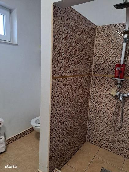 Casa parter in Grigorescu 4 camere, bucatarie, living, 2 bai, ST 688mp - 18
