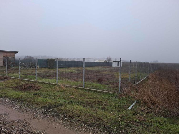 Vanzare teren 1000 mp Gradistea, Ilfov - 1