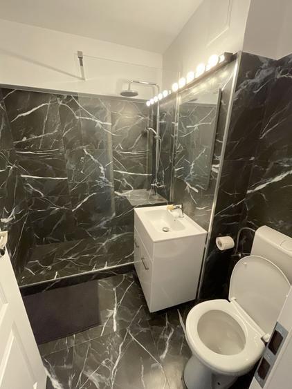 Herastrau Averescu Arc prima inchiriere - 4