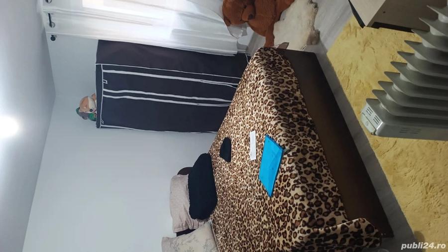 Vind casa la intrarea Smeura - 1