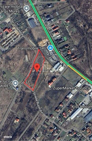 Teren 5 300 Mp Intravilan De Vanzare, Str Bujorului, Corunca - 2