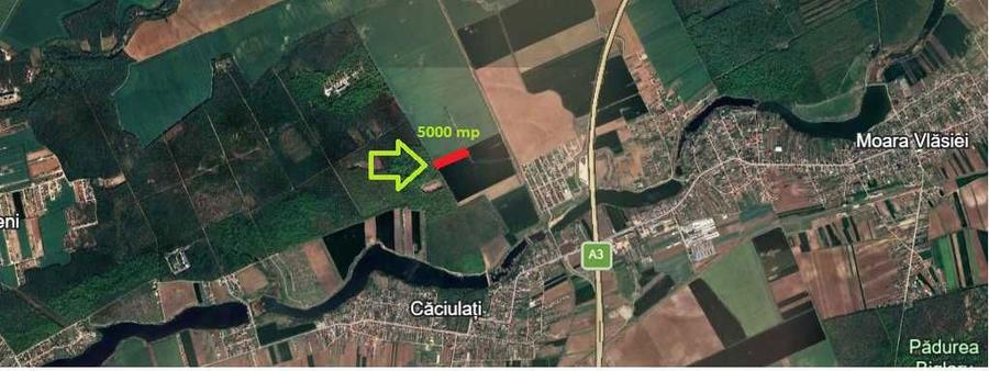 5000 mp langa padure - 2