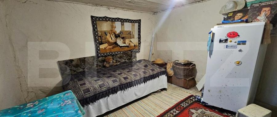 Casa rustica (62mp) in sat Magura cu 1000mp teren si anexe! - 3