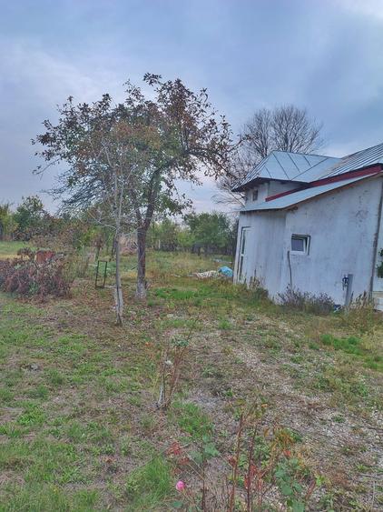 Unic proprietar vand teren intravilan+casa+anexa +teren extravil - 4