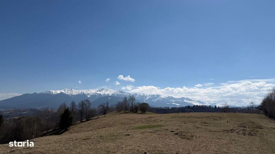 Teren 4584 mp de vanzare Pestera, Moeciu, Brasov - 1