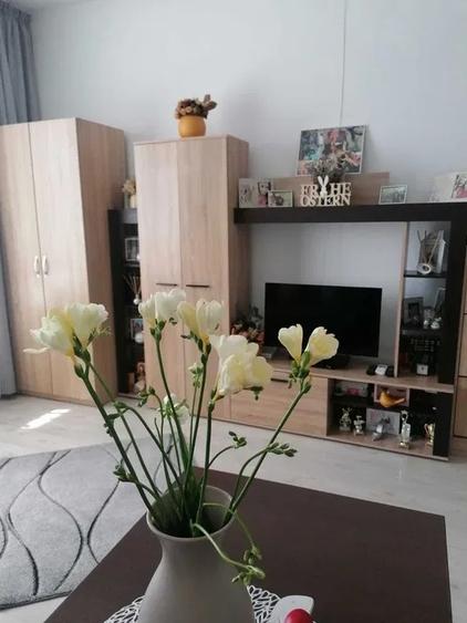 Apartament de 2 camere, zona Podu Ros - 2