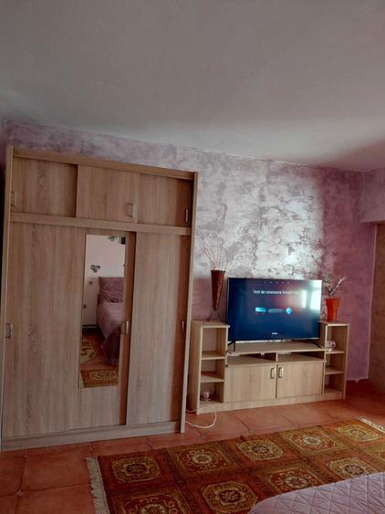 Inchiriere apartament cu 1 camera si birou - Zona Nicolina 1 - 2