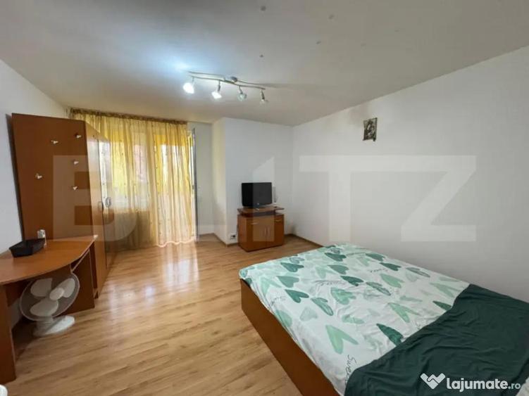 Garsoniera de inchiriat, 33 mp, zona Brazda lui Novac - 2