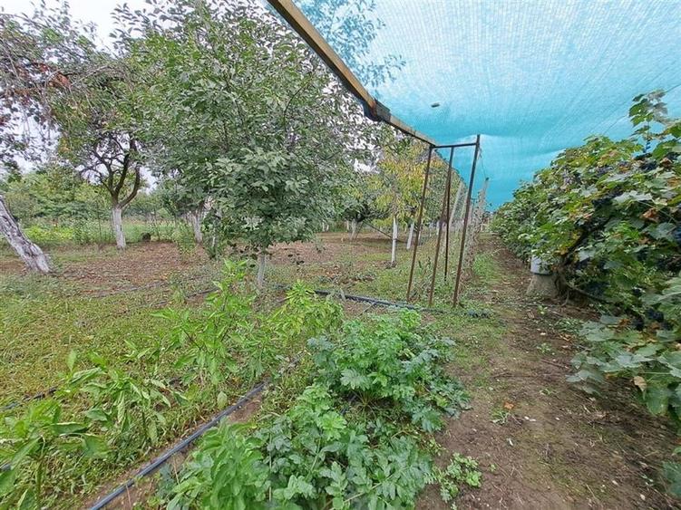 RECO casa Salard - 18