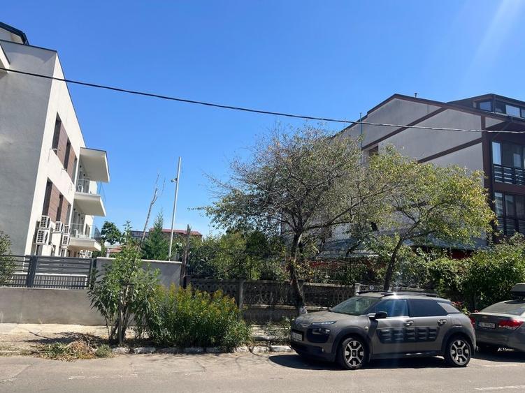 Teren str Renasterii Chitila - 1