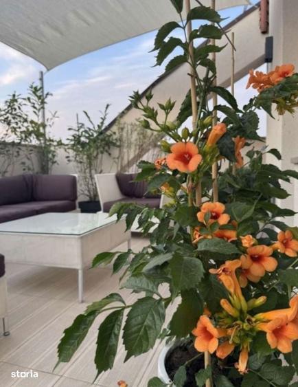 Bloc Nou Ultralux 3 Camere + Terasa Panoramica Timpuri Noi + Parcare - 15